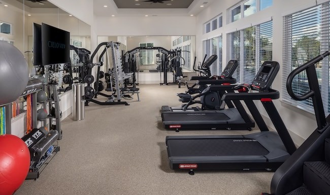 Upscale Apartments in Kissimmee, FL - Cielo View - State-of-the-Art, 24-Hour Fitness Center with Treadmills, Strength Machines, Wall Mirrors, Free Weights, and Tall Windows for Natural Light.
